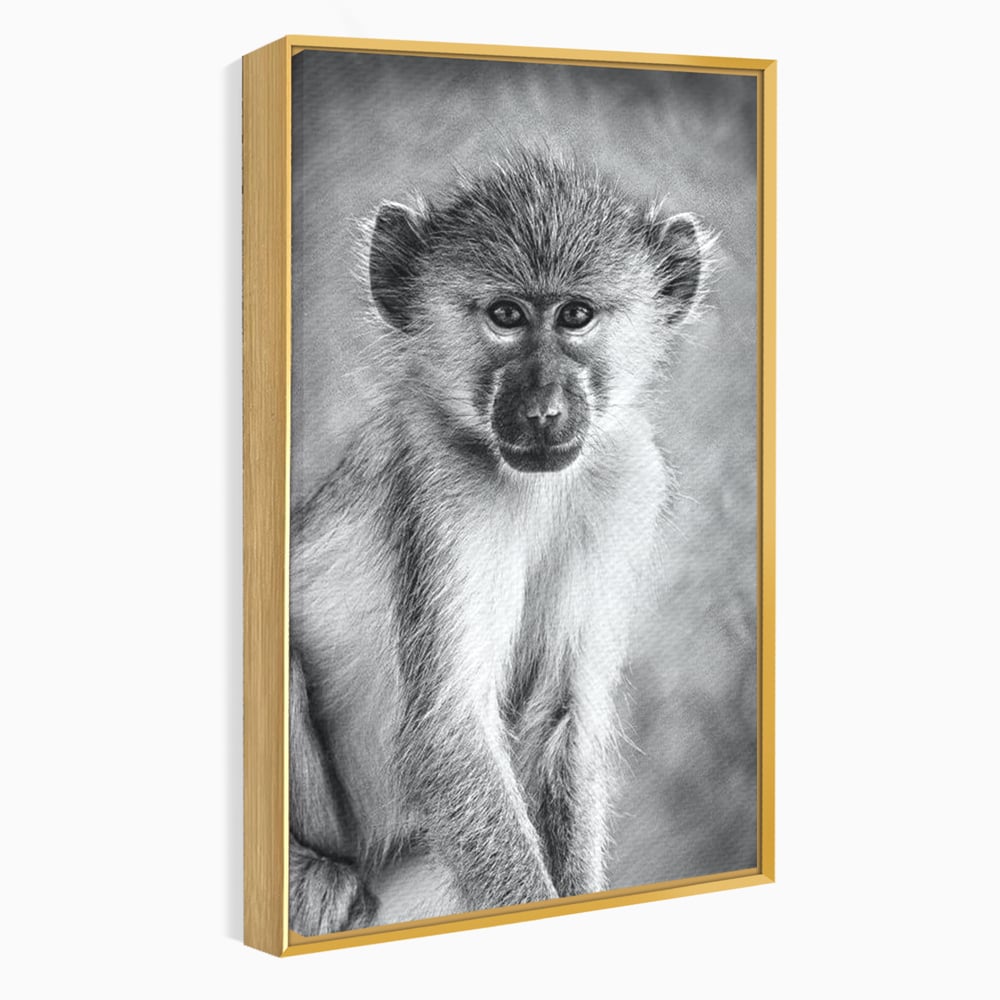Tablou Canvas Premium, LuxCanva® M1329, Micul Gardian al Savanei, Maimuta, Alb si Negru, Jungla, Chip, Primata, Inocenta, Realist, Animal, Fotografie, Birou, Living, Camera Copil