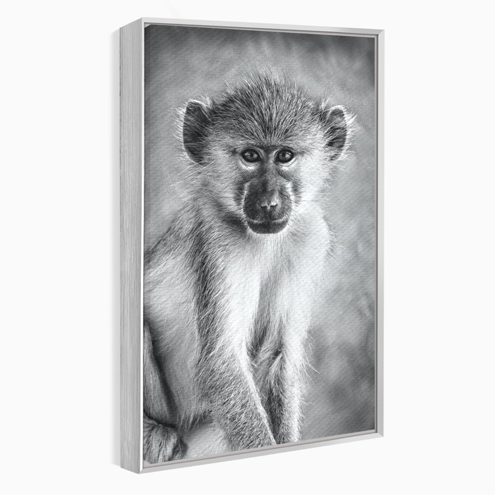 Tablou Canvas Premium, LuxCanva® M1329, Micul Gardian al Savanei, Maimuta, Alb si Negru, Jungla, Chip, Primata, Inocenta, Realist, Animal, Fotografie, Birou, Living, Camera Copil