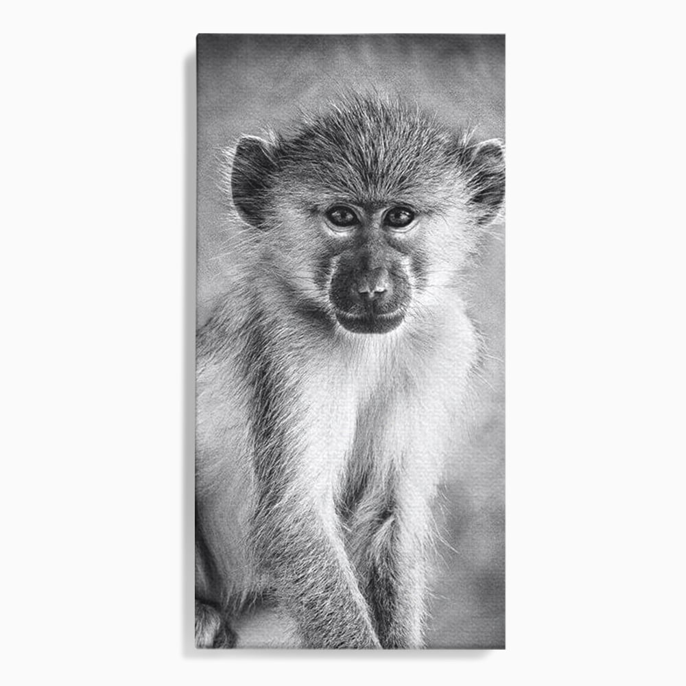Tablou Canvas Premium, LuxCanva® M1329, Micul Gardian al Savanei, Maimuta, Alb si Negru, Jungla, Chip, Primata, Inocenta, Realist, Animal, Fotografie, Birou, Living, Camera Copil