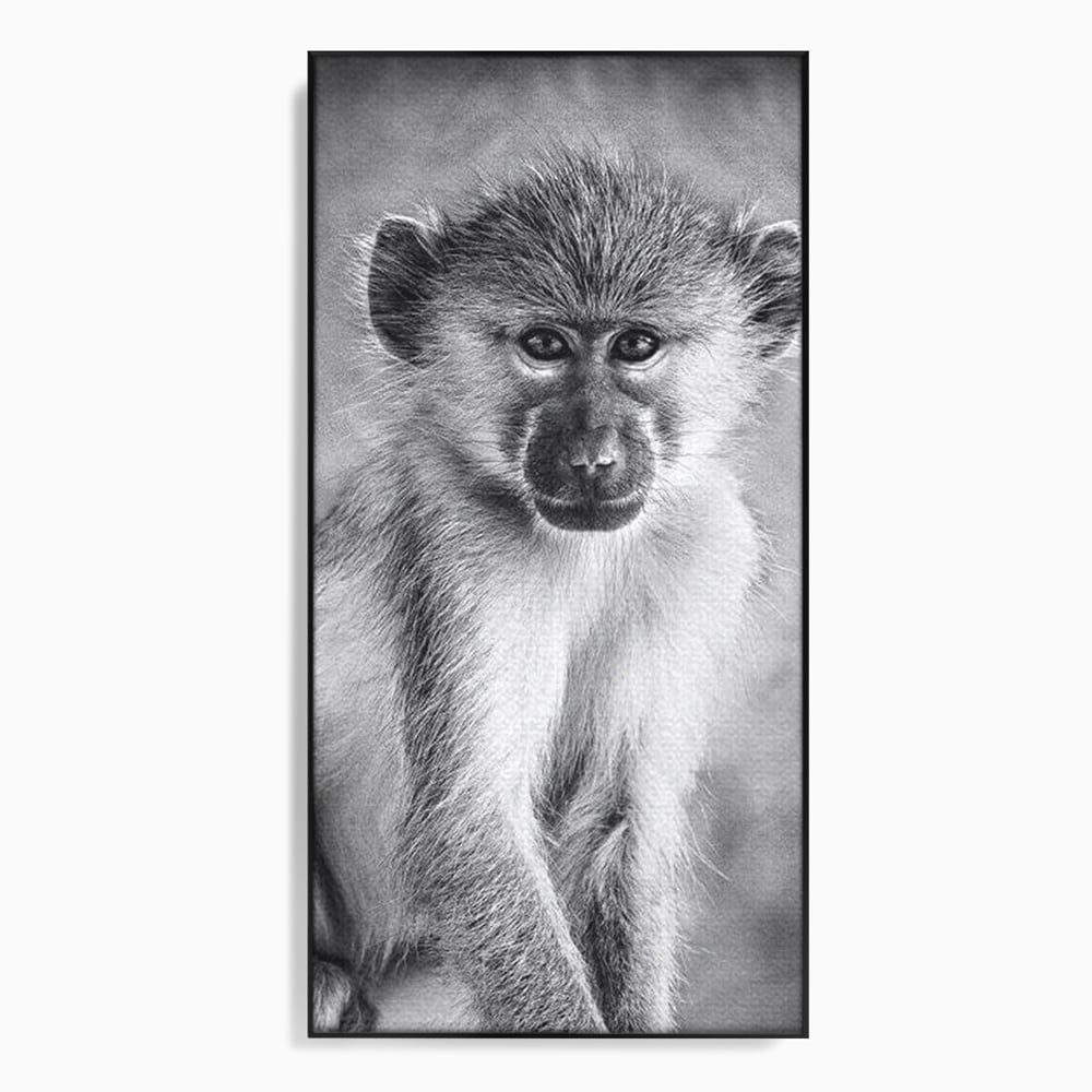 Tablou Canvas Premium, LuxCanva® M1329, Micul Gardian al Savanei, Maimuta, Alb si Negru, Jungla, Chip, Primata, Inocenta, Realist, Animal, Fotografie, Birou, Living, Camera Copil