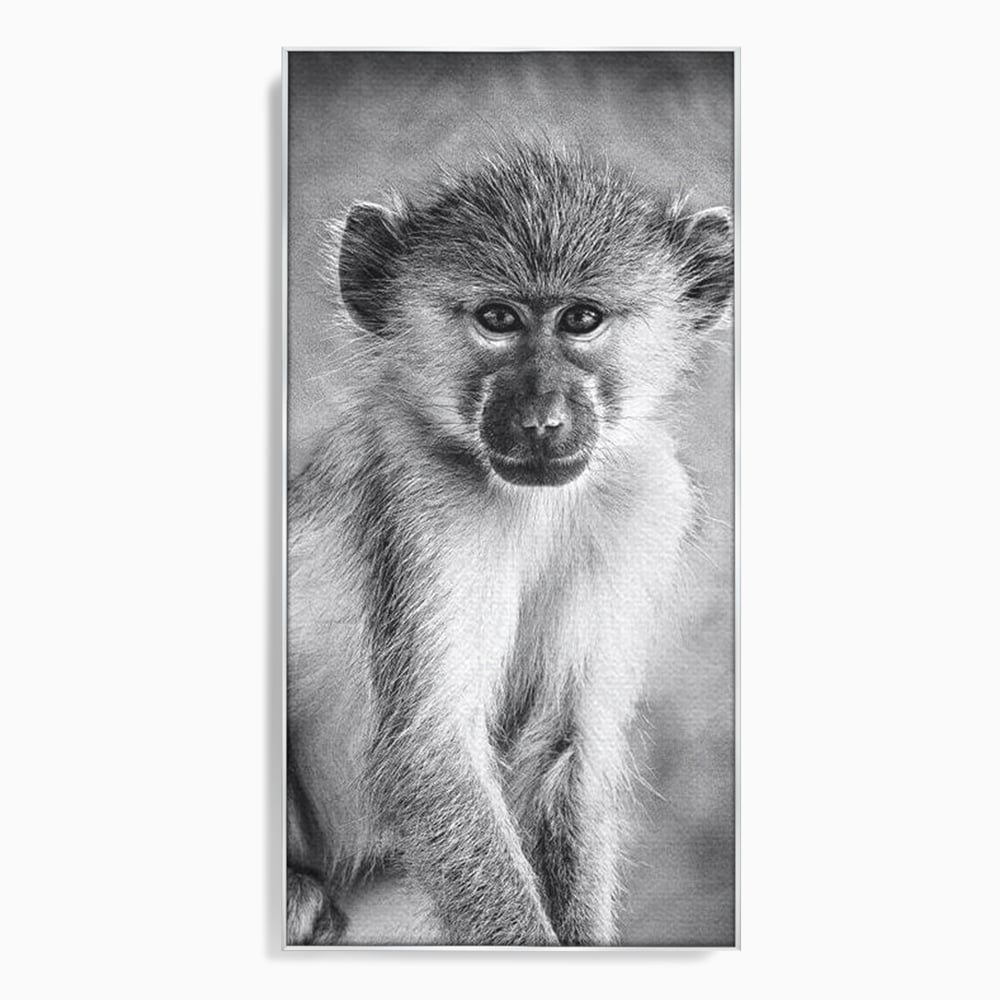 Tablou Canvas Premium, LuxCanva® M1329, Micul Gardian al Savanei, Maimuta, Alb si Negru, Jungla, Chip, Primata, Inocenta, Realist, Animal, Fotografie, Birou, Living, Camera Copil