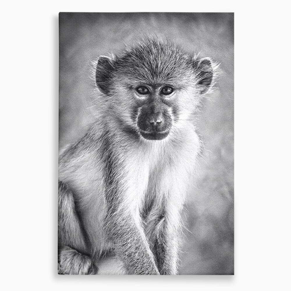Tablou Canvas Premium, LuxCanva® M1329, Micul Gardian al Savanei, Maimuta, Alb si Negru, Jungla, Chip, Primata, Inocenta, Realist, Animal, Fotografie, Birou, Living, Camera Copil