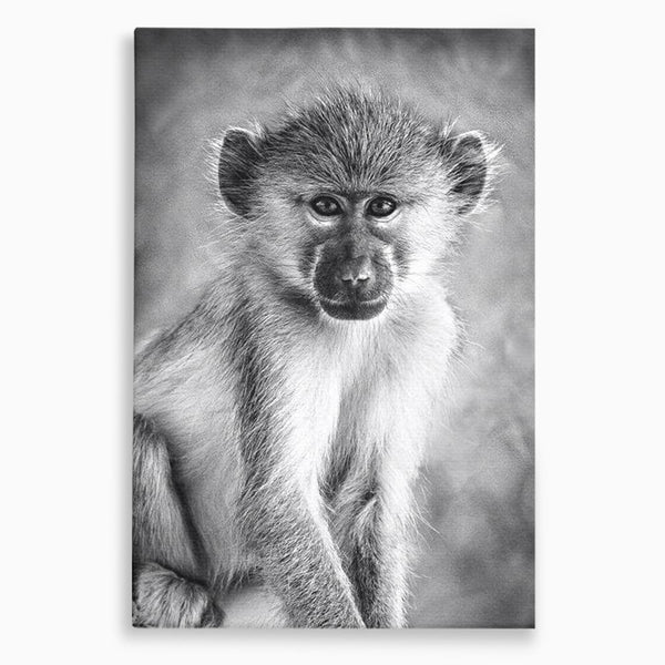 Tablou Canvas Premium, LuxCanva® M1329, Micul Gardian al Savanei, Maimuta, Alb si Negru, Jungla, Chip, Primata, Inocenta, Realist, Animal, Fotografie, Birou, Living, Camera Copil