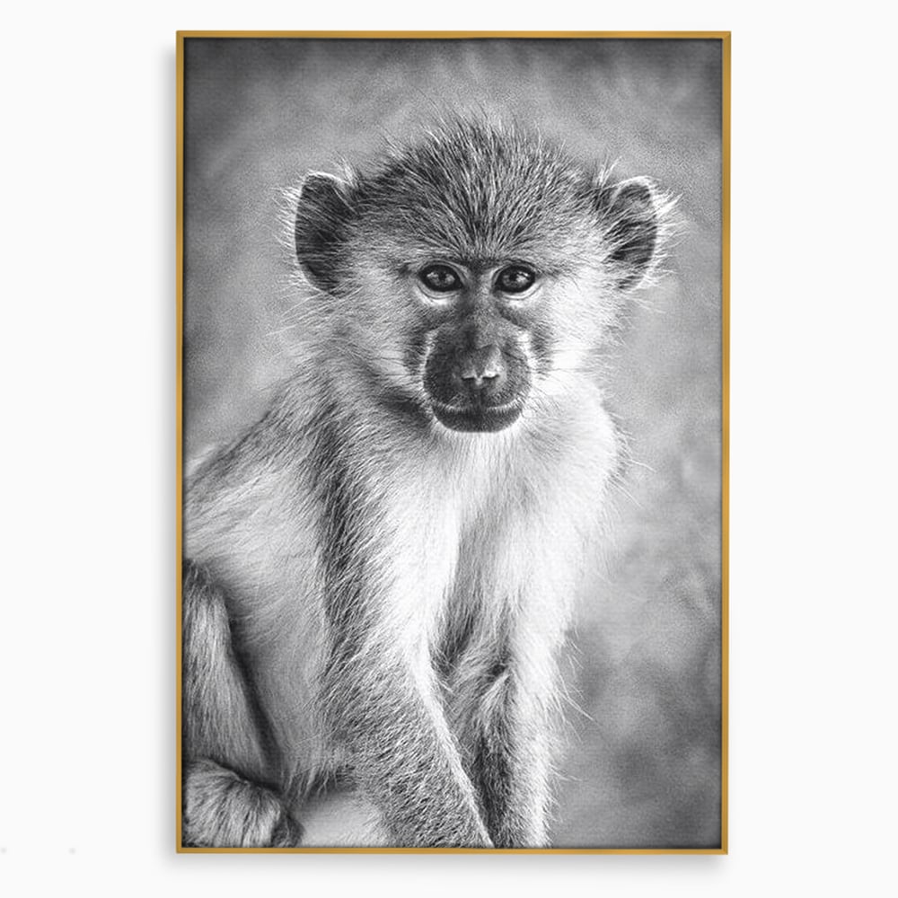 Tablou Canvas Premium, LuxCanva® M1329, Micul Gardian al Savanei, Maimuta, Alb si Negru, Jungla, Chip, Primata, Inocenta, Realist, Animal, Fotografie, Birou, Living, Camera Copil