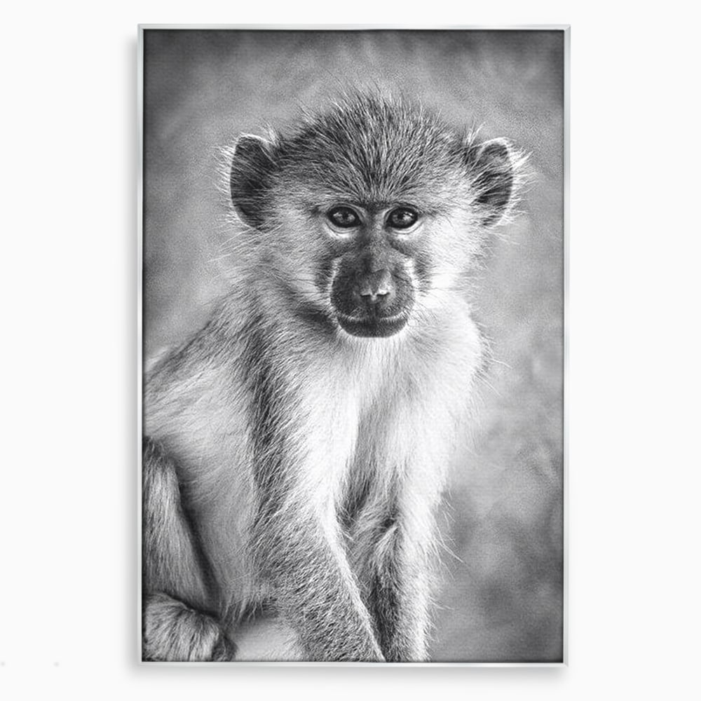 Tablou Canvas Premium, LuxCanva® M1329, Micul Gardian al Savanei, Maimuta, Alb si Negru, Jungla, Chip, Primata, Inocenta, Realist, Animal, Fotografie, Birou, Living, Camera Copil