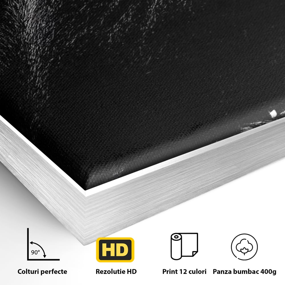 Tablou Canvas Premium, LuxCanva® M1334, Glasul Salbaticiei, Strigat, Colti, Furie, Gorila, Expresie, Teroare, Bestie, Lanturi, Instinct, Animal, Birou, Living, Camera Copil