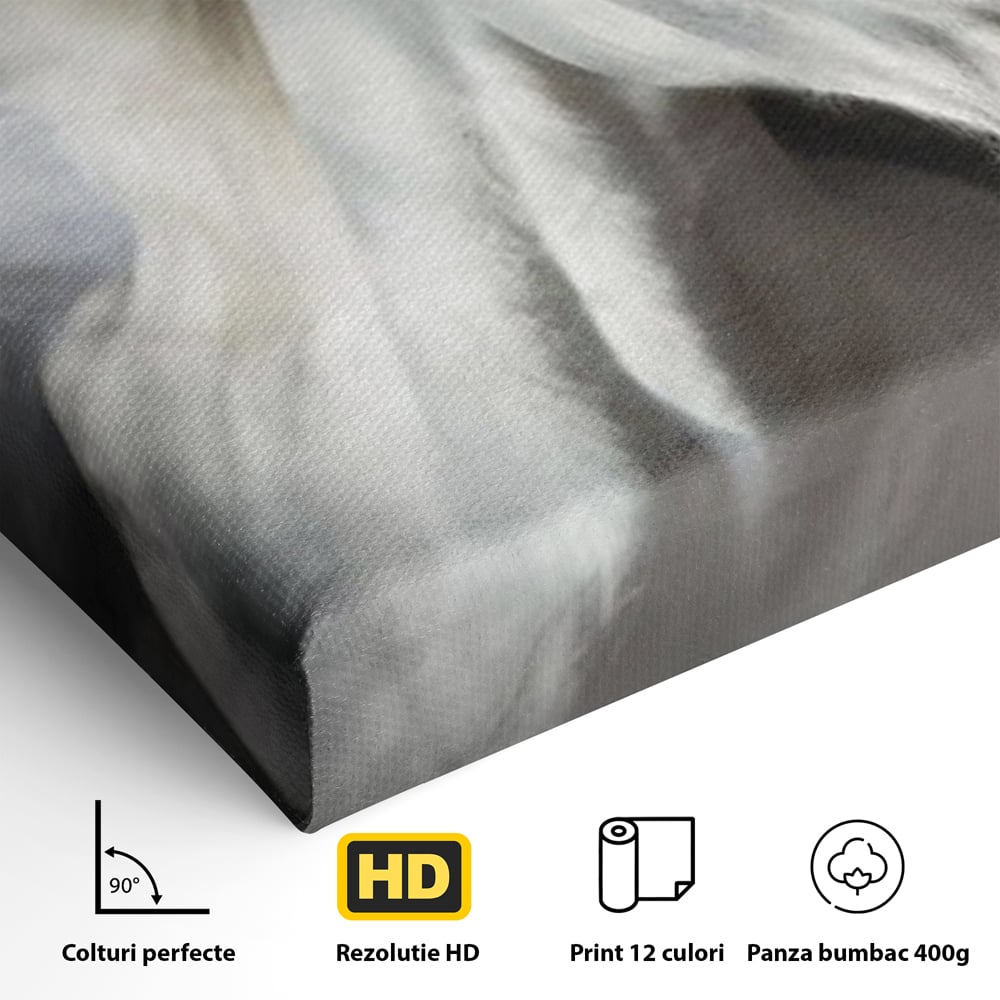 Tablou Canvas Premium, LuxCanva® M1336, Galop deasupra Norilor, Lumina, Nori, Puritate, Cal, Alb, Salbatic, Animal, Mister, Eleganta, Dramatic, Birou, Living, Camera Copil