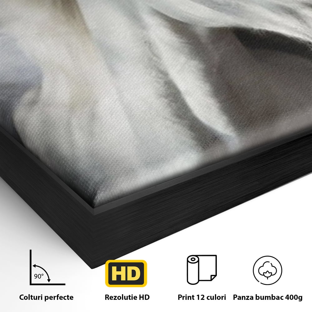 Tablou Canvas Premium, LuxCanva® M1336, Galop deasupra Norilor, Lumina, Nori, Puritate, Cal, Alb, Salbatic, Animal, Mister, Eleganta, Dramatic, Birou, Living, Camera Copil
