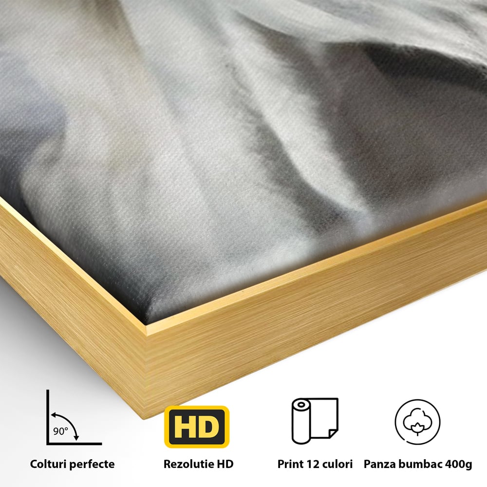 Tablou Canvas Premium, LuxCanva® M1336, Galop deasupra Norilor, Lumina, Nori, Puritate, Cal, Alb, Salbatic, Animal, Mister, Eleganta, Dramatic, Birou, Living, Camera Copil