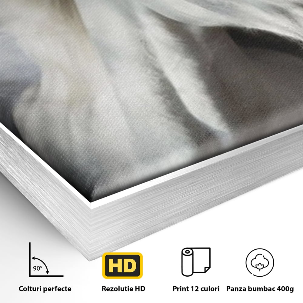 Tablou Canvas Premium, LuxCanva® M1336, Galop deasupra Norilor, Lumina, Nori, Puritate, Cal, Alb, Salbatic, Animal, Mister, Eleganta, Dramatic, Birou, Living, Camera Copil