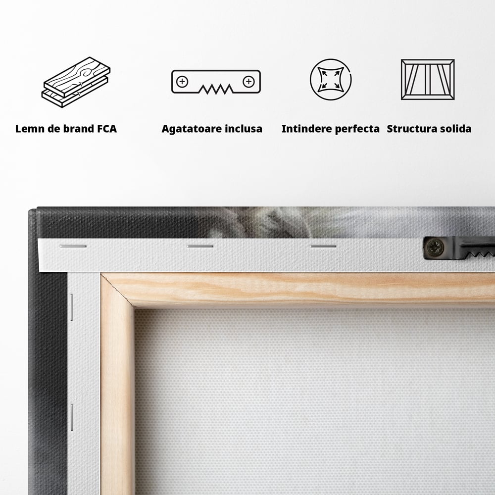 Tablou Canvas Premium, LuxCanva® M1336, Galop deasupra Norilor, Lumina, Nori, Puritate, Cal, Alb, Salbatic, Animal, Mister, Eleganta, Dramatic, Birou, Living, Camera Copil