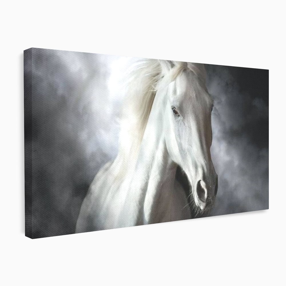 Tablou Canvas Premium, LuxCanva® M1336, Galop deasupra Norilor, Lumina, Nori, Puritate, Cal, Alb, Salbatic, Animal, Mister, Eleganta, Dramatic, Birou, Living, Camera Copil