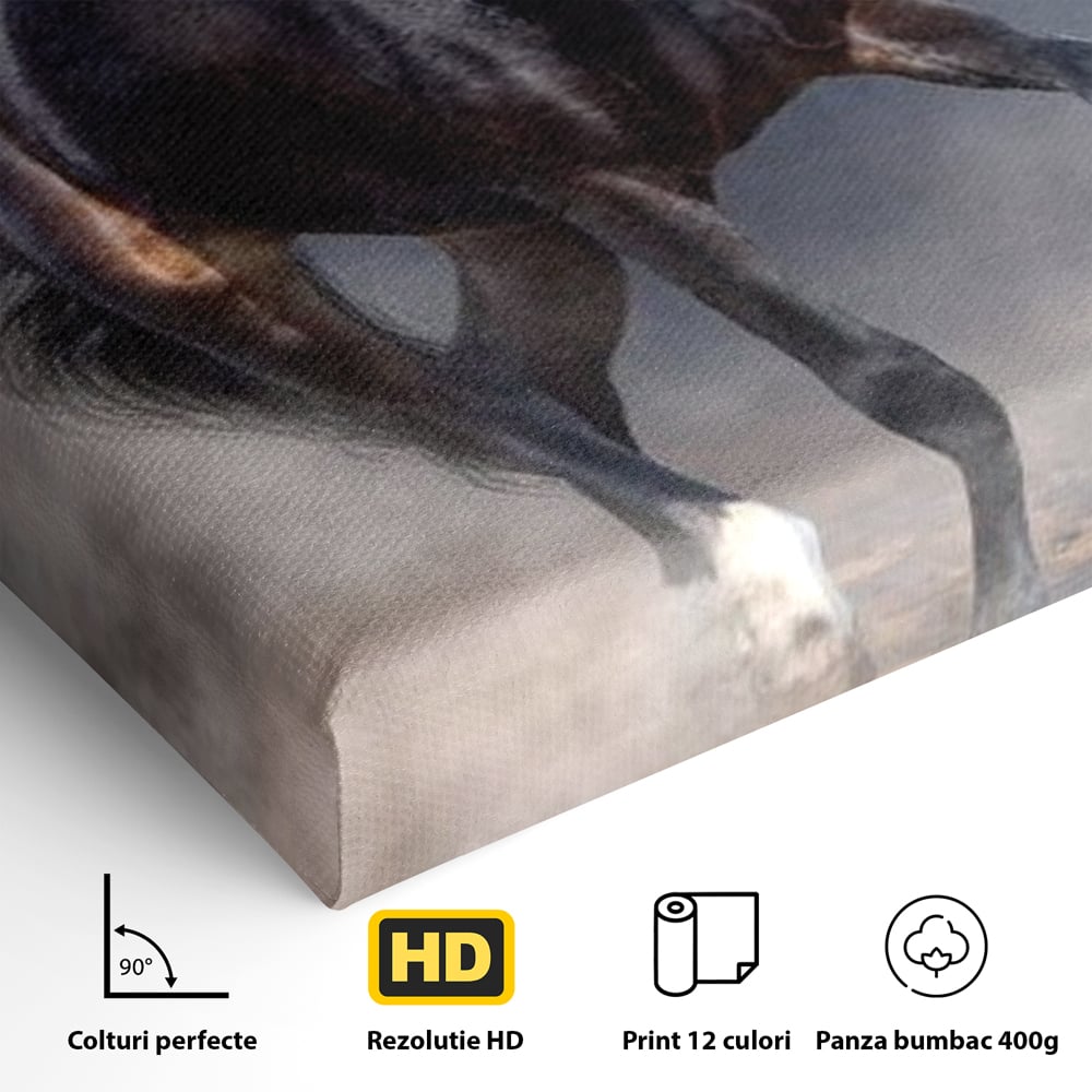 Leinwand Wandbilder Canvas Premium, LuxCanva® M1340, Galopp im Sturm, Pferd, Tier, Wild, Galopp, Bewegung, Wind, Staub, Freiheit, Kraft, Geschwindigkeit, Realistisch, Büro, Wohnen, Kinderzimmer