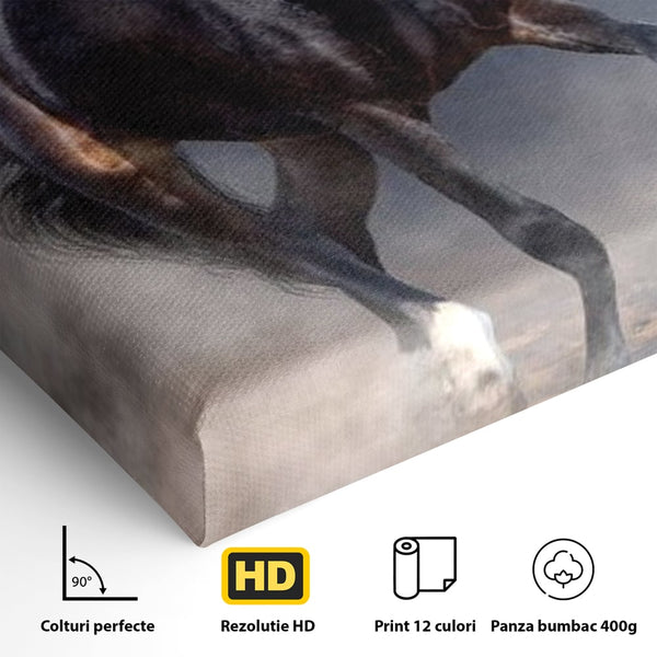 Leinwand Wandbilder Canvas Premium, LuxCanva® M1340, Galopp im Sturm, Pferd, Tier, Wild, Galopp, Bewegung, Wind, Staub, Freiheit, Kraft, Geschwindigkeit, Realistisch, Büro, Wohnen, Kinderzimmer