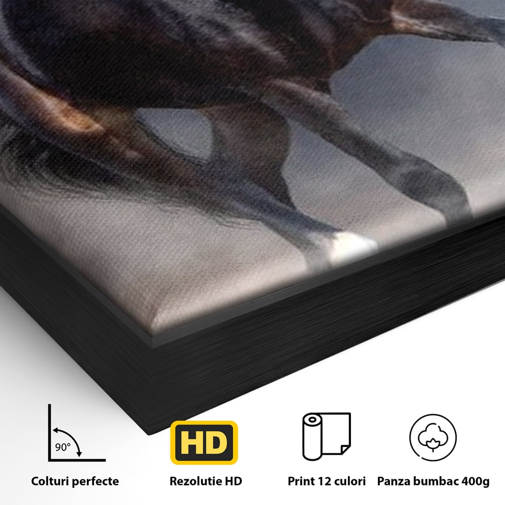 Leinwand Wandbilder Canvas Premium, LuxCanva® M1340, Galopp im Sturm, Pferd, Tier, Wild, Galopp, Bewegung, Wind, Staub, Freiheit, Kraft, Geschwindigkeit, Realistisch, Büro, Wohnen, Kinderzimmer