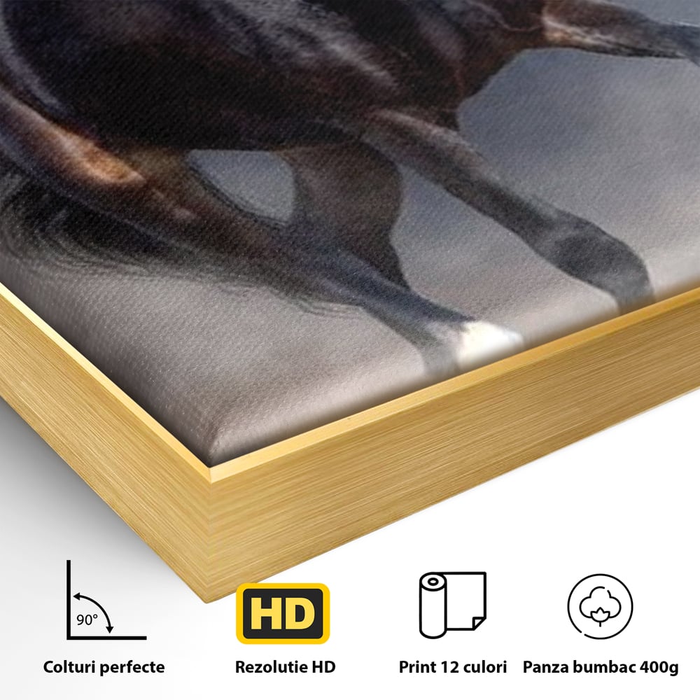 Leinwand Wandbilder Canvas Premium, LuxCanva® M1340, Galopp im Sturm, Pferd, Tier, Wild, Galopp, Bewegung, Wind, Staub, Freiheit, Kraft, Geschwindigkeit, Realistisch, Büro, Wohnen, Kinderzimmer