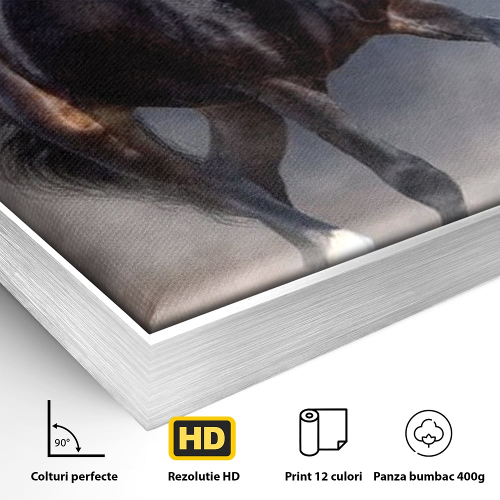 Leinwand Wandbilder Canvas Premium, LuxCanva® M1340, Galopp im Sturm, Pferd, Tier, Wild, Galopp, Bewegung, Wind, Staub, Freiheit, Kraft, Geschwindigkeit, Realistisch, Büro, Wohnen, Kinderzimmer