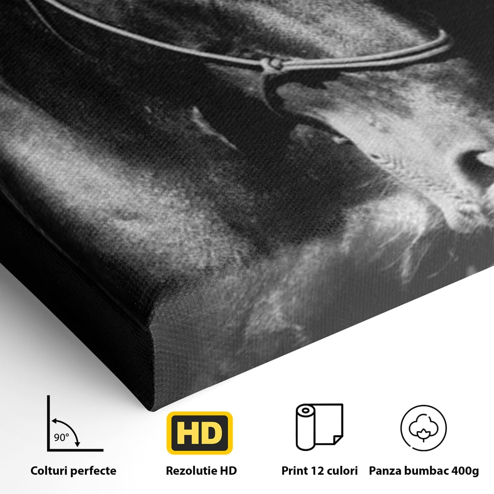 Tablou Canvas Premium, LuxCanva® M1342, Eleganta in Umbre, Alb si Negru, Profil, Portret, Vertical, Realist, Cal, Mister, Intunecat, Animal, Birou, Living, Camera Copil