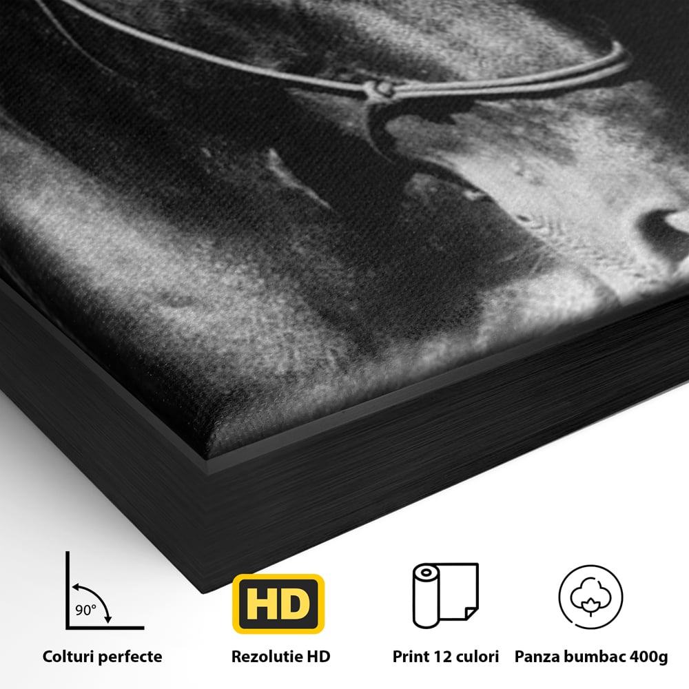 Tablou Canvas Premium, LuxCanva® M1342, Eleganta in Umbre, Alb si Negru, Profil, Portret, Vertical, Realist, Cal, Mister, Intunecat, Animal, Birou, Living, Camera Copil