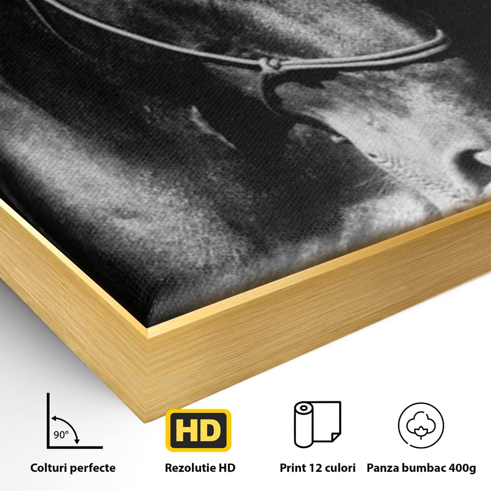 Tablou Canvas Premium, LuxCanva® M1342, Eleganta in Umbre, Alb si Negru, Profil, Portret, Vertical, Realist, Cal, Mister, Intunecat, Animal, Birou, Living, Camera Copil