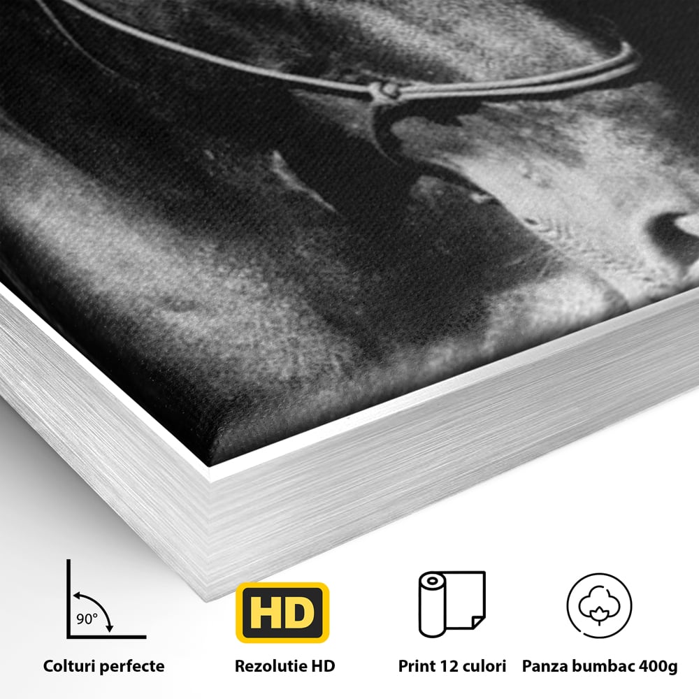 Tablou Canvas Premium, LuxCanva® M1342, Eleganta in Umbre, Alb si Negru, Profil, Portret, Vertical, Realist, Cal, Mister, Intunecat, Animal, Birou, Living, Camera Copil