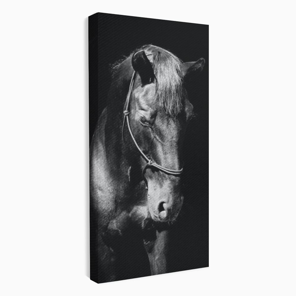 Tablou Canvas Premium, LuxCanva® M1342, Eleganta in Umbre, Alb si Negru, Profil, Portret, Vertical, Realist, Cal, Mister, Intunecat, Animal, Birou, Living, Camera Copil