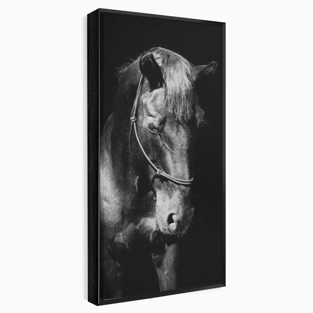 Tablou Canvas Premium, LuxCanva® M1342, Eleganta in Umbre, Alb si Negru, Profil, Portret, Vertical, Realist, Cal, Mister, Intunecat, Animal, Birou, Living, Camera Copil