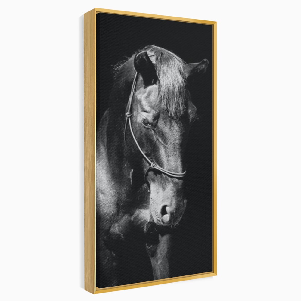 Tablou Canvas Premium, LuxCanva® M1342, Eleganta in Umbre, Alb si Negru, Profil, Portret, Vertical, Realist, Cal, Mister, Intunecat, Animal, Birou, Living, Camera Copil