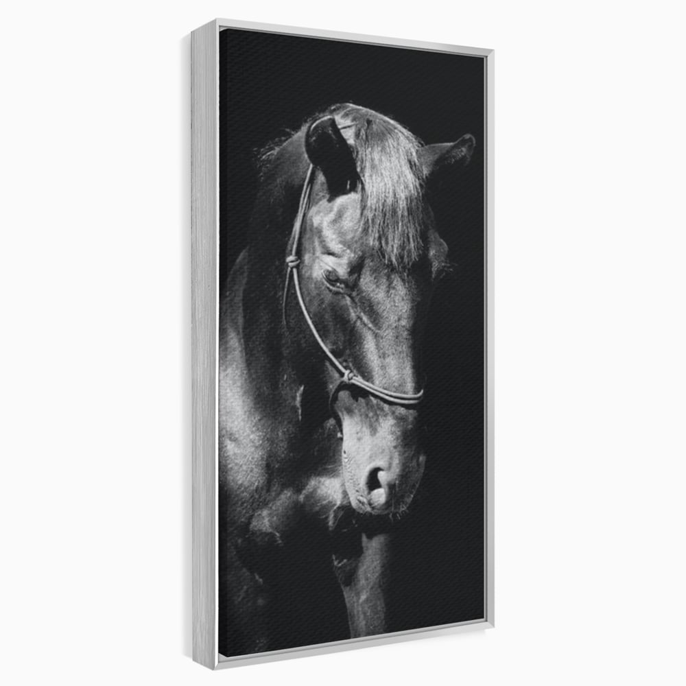 Tablou Canvas Premium, LuxCanva® M1342, Eleganta in Umbre, Alb si Negru, Profil, Portret, Vertical, Realist, Cal, Mister, Intunecat, Animal, Birou, Living, Camera Copil