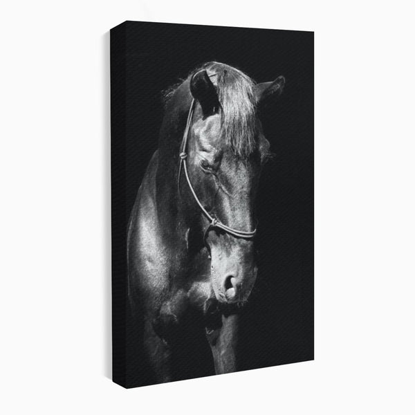 Tablou Canvas Premium, LuxCanva® M1342, Eleganta in Umbre, Alb si Negru, Profil, Portret, Vertical, Realist, Cal, Mister, Intunecat, Animal, Birou, Living, Camera Copil