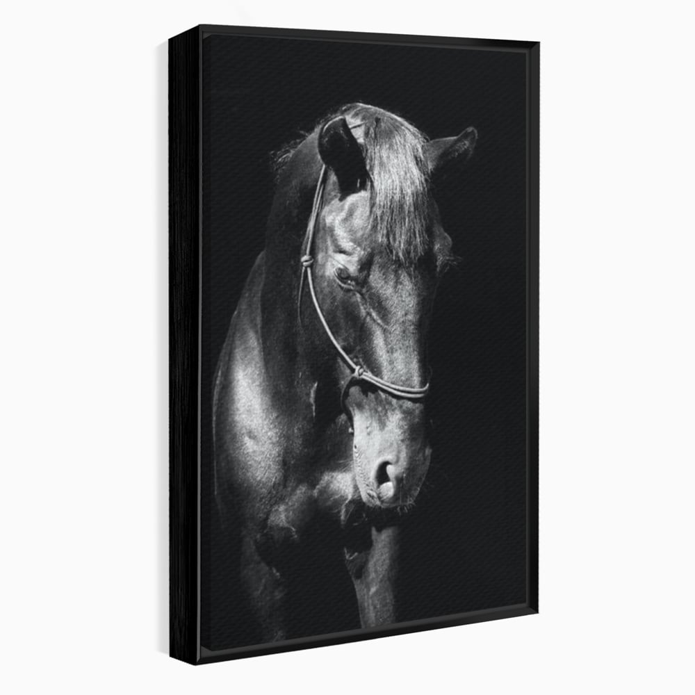 Tablou Canvas Premium, LuxCanva® M1342, Eleganta in Umbre, Alb si Negru, Profil, Portret, Vertical, Realist, Cal, Mister, Intunecat, Animal, Birou, Living, Camera Copil