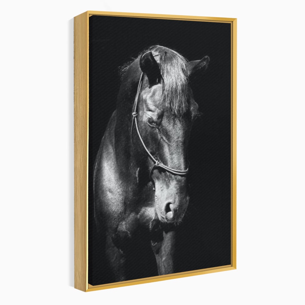 Tablou Canvas Premium, LuxCanva® M1342, Eleganta in Umbre, Alb si Negru, Profil, Portret, Vertical, Realist, Cal, Mister, Intunecat, Animal, Birou, Living, Camera Copil