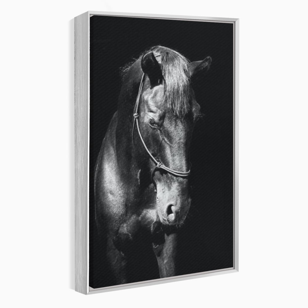 Tablou Canvas Premium, LuxCanva® M1342, Eleganta in Umbre, Alb si Negru, Profil, Portret, Vertical, Realist, Cal, Mister, Intunecat, Animal, Birou, Living, Camera Copil
