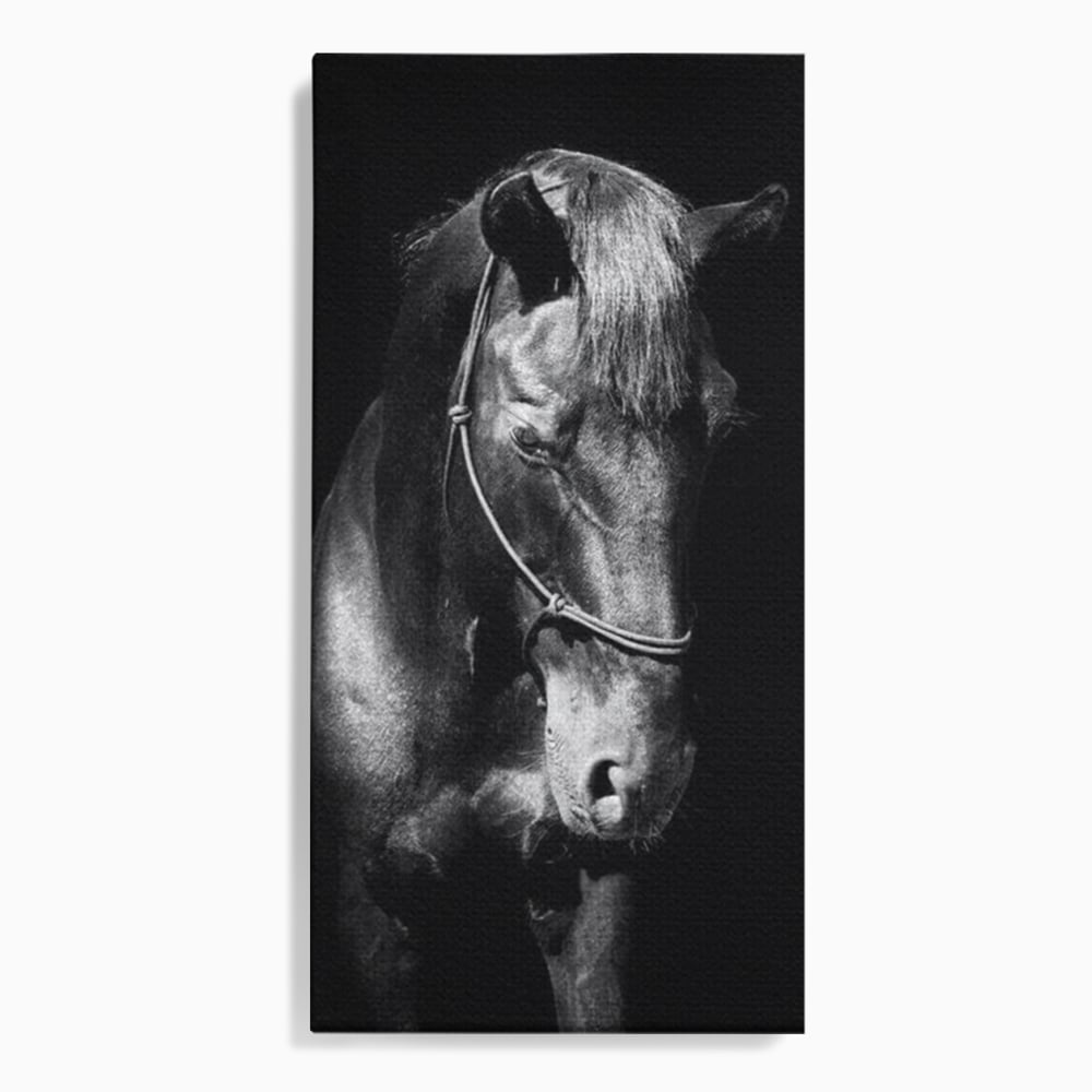 Tablou Canvas Premium, LuxCanva® M1342, Eleganta in Umbre, Alb si Negru, Profil, Portret, Vertical, Realist, Cal, Mister, Intunecat, Animal, Birou, Living, Camera Copil
