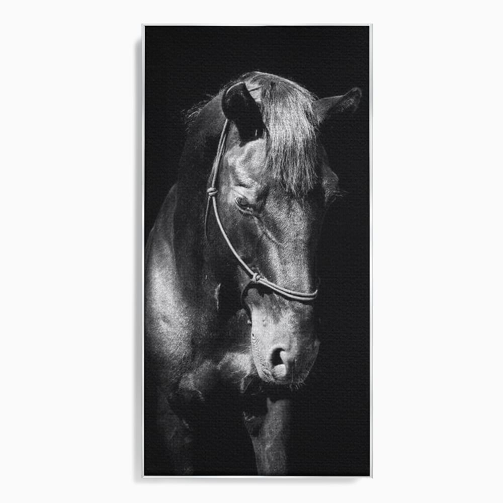 Tablou Canvas Premium, LuxCanva® M1342, Eleganta in Umbre, Alb si Negru, Profil, Portret, Vertical, Realist, Cal, Mister, Intunecat, Animal, Birou, Living, Camera Copil