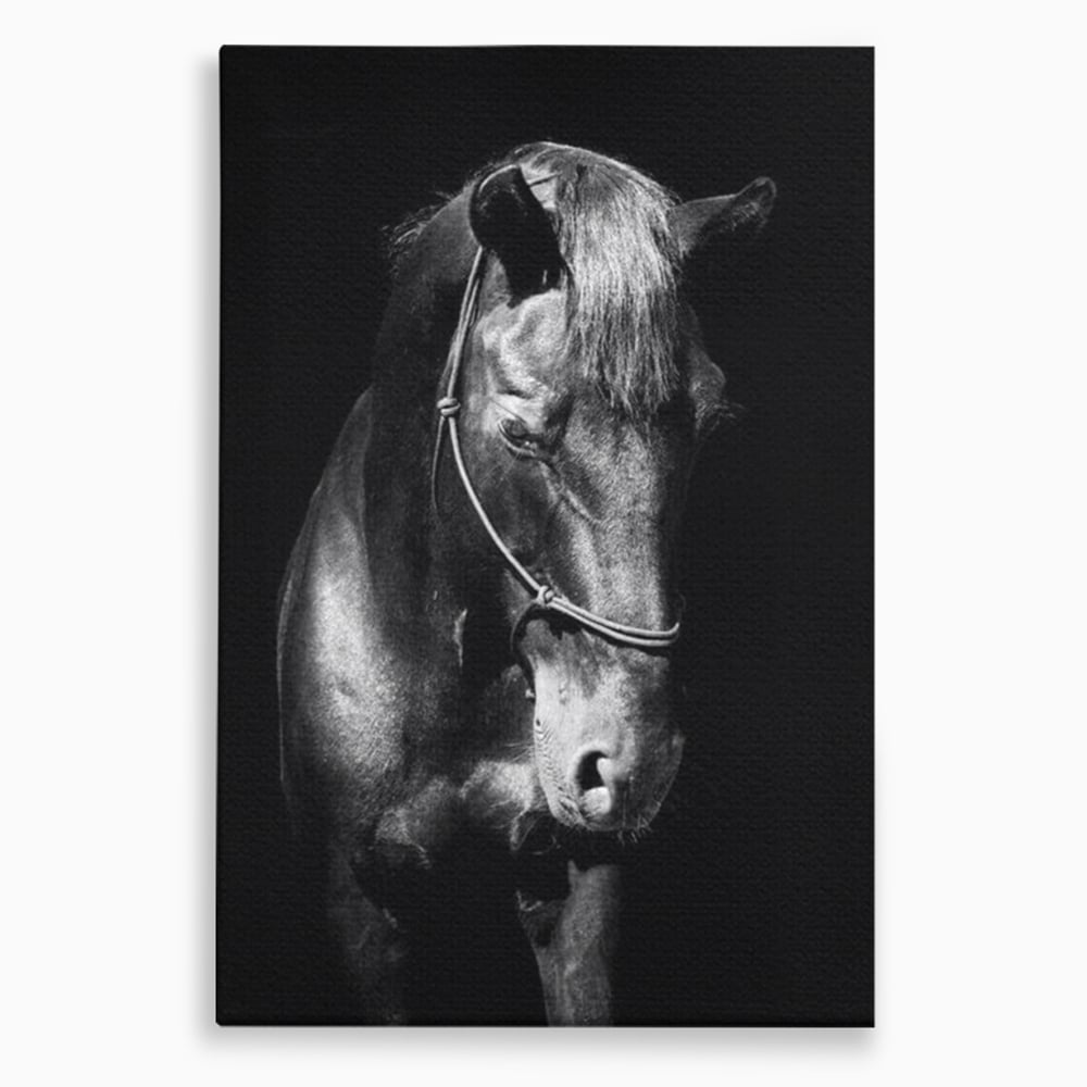 Tablou Canvas Premium, LuxCanva® M1342, Eleganta in Umbre, Alb si Negru, Profil, Portret, Vertical, Realist, Cal, Mister, Intunecat, Animal, Birou, Living, Camera Copil