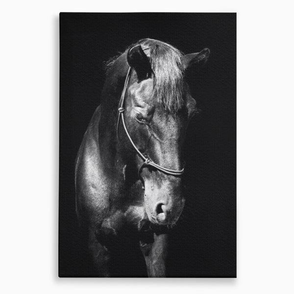 Tablou Canvas Premium, LuxCanva® M1342, Eleganta in Umbre, Alb si Negru, Profil, Portret, Vertical, Realist, Cal, Mister, Intunecat, Animal, Birou, Living, Camera Copil