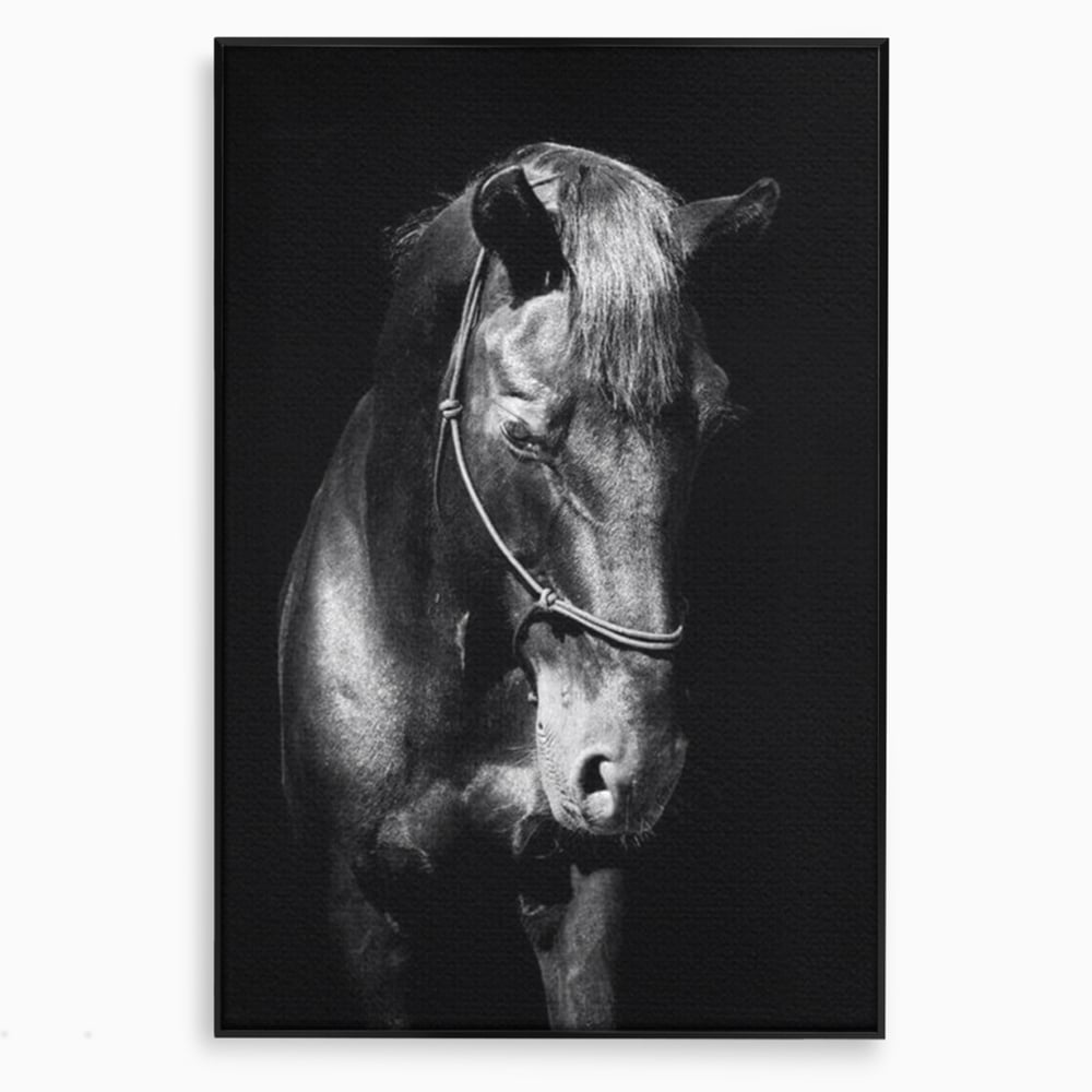 Tablou Canvas Premium, LuxCanva® M1342, Eleganta in Umbre, Alb si Negru, Profil, Portret, Vertical, Realist, Cal, Mister, Intunecat, Animal, Birou, Living, Camera Copil