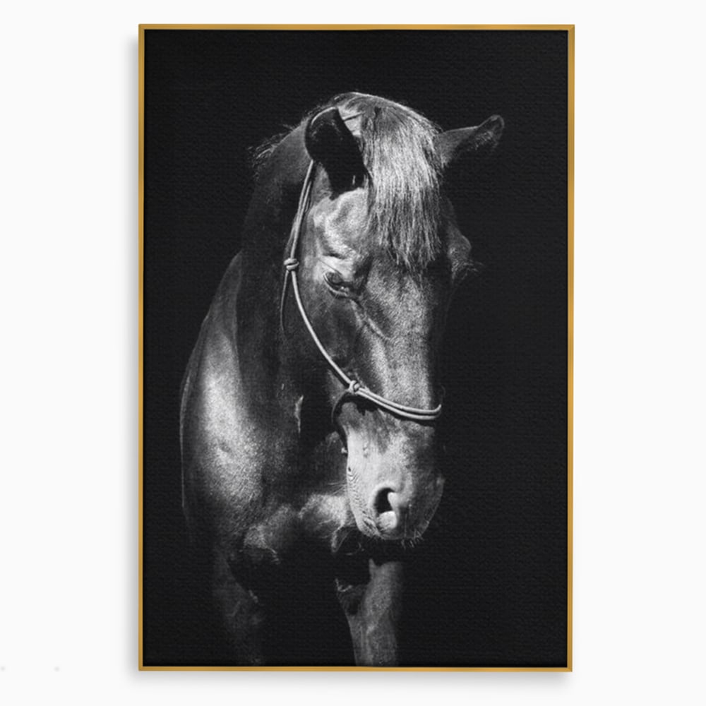Tablou Canvas Premium, LuxCanva® M1342, Eleganta in Umbre, Alb si Negru, Profil, Portret, Vertical, Realist, Cal, Mister, Intunecat, Animal, Birou, Living, Camera Copil