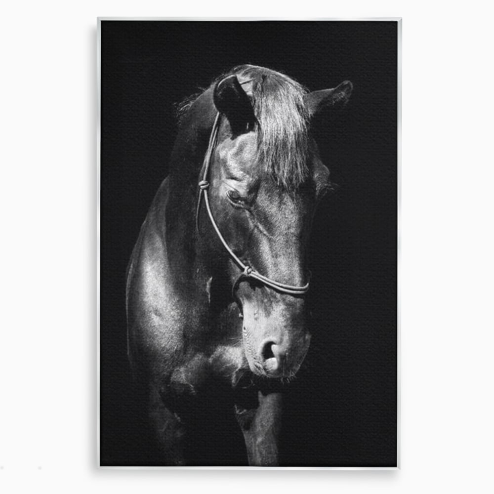 Tablou Canvas Premium, LuxCanva® M1342, Eleganta in Umbre, Alb si Negru, Profil, Portret, Vertical, Realist, Cal, Mister, Intunecat, Animal, Birou, Living, Camera Copil