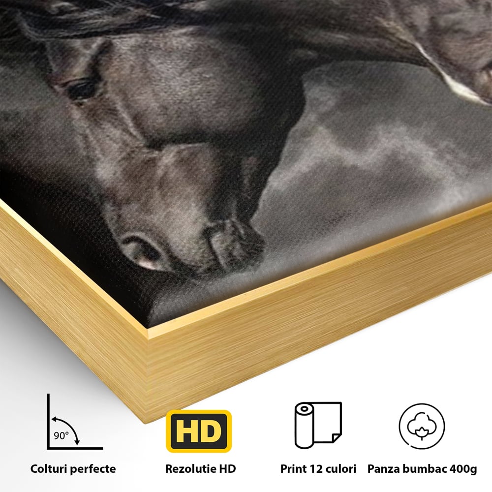 Tablou Canvas Premium, LuxCanva® M1345, Tropotul Furtunii, Cai, Animale, Galop, Viteza, Salbaticie, Grup, Armonie, Intunecat, Libertate, Birou, Living, Camera Copil