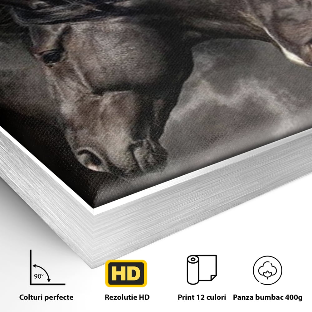 Tablou Canvas Premium, LuxCanva® M1345, Tropotul Furtunii, Cai, Animale, Galop, Viteza, Salbaticie, Grup, Armonie, Intunecat, Libertate, Birou, Living, Camera Copil
