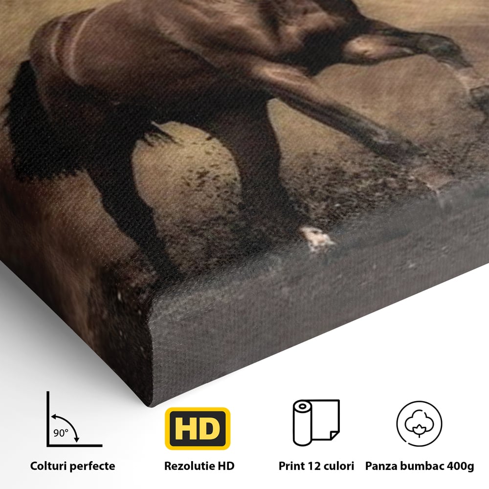 Tablou Canvas Premium, LuxCanva® M1346, Invelis de Praf si Lumina, Pamant, Praf, Lumina, Viteza, Energie, Cal, Animal, Copite, Salbaticie, Birou, Living, Camera Copil