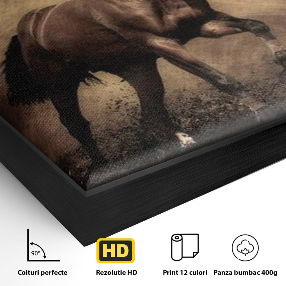 Tablou Canvas Premium, LuxCanva® M1346, Invelis de Praf si Lumina, Pamant, Praf, Lumina, Viteza, Energie, Cal, Animal, Copite, Salbaticie, Birou, Living, Camera Copil