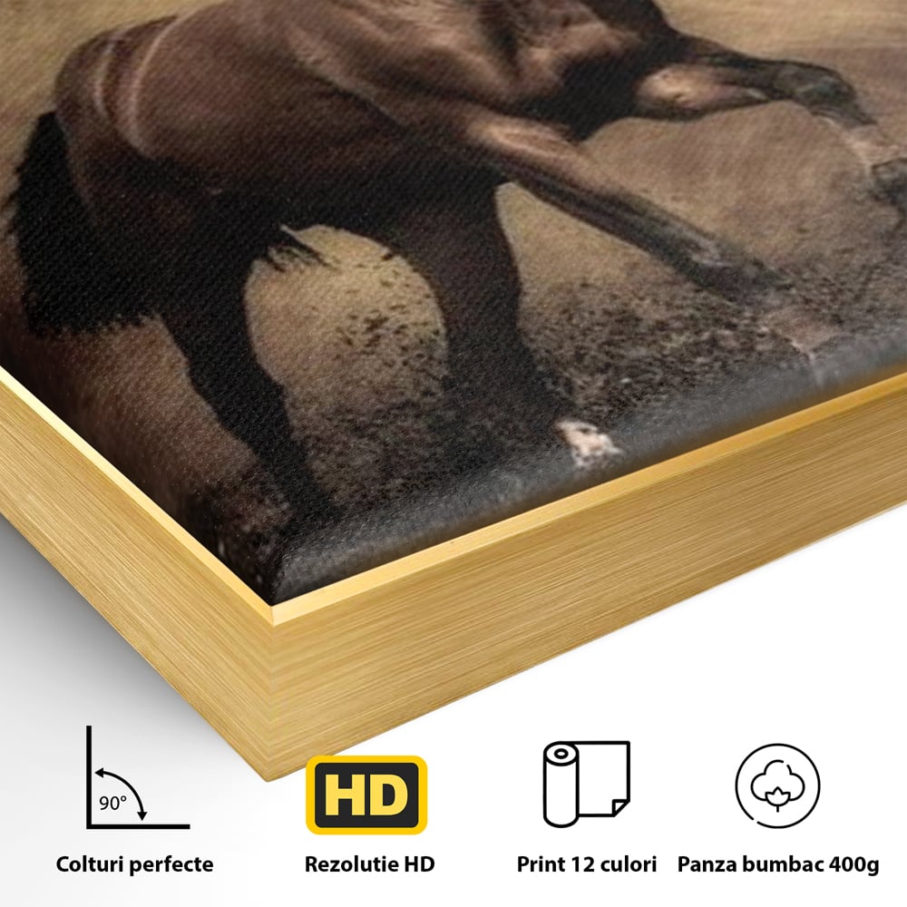 Tablou Canvas Premium, LuxCanva® M1346, Invelis de Praf si Lumina, Pamant, Praf, Lumina, Viteza, Energie, Cal, Animal, Copite, Salbaticie, Birou, Living, Camera Copil