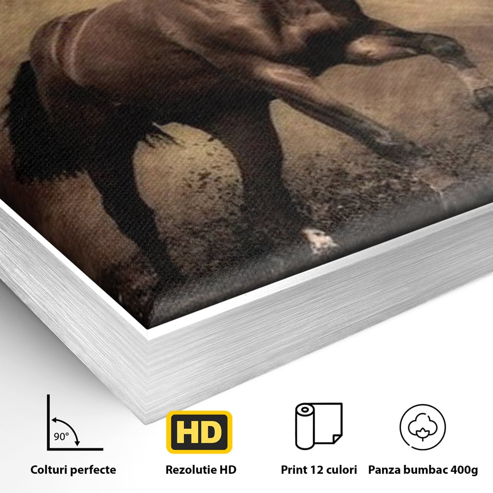 Tablou Canvas Premium, LuxCanva® M1346, Invelis de Praf si Lumina, Pamant, Praf, Lumina, Viteza, Energie, Cal, Animal, Copite, Salbaticie, Birou, Living, Camera Copil
