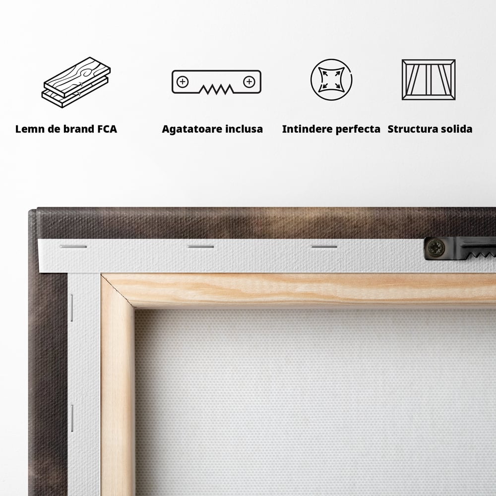 Tablou Canvas Premium, LuxCanva® M1346, Invelis de Praf si Lumina, Pamant, Praf, Lumina, Viteza, Energie, Cal, Animal, Copite, Salbaticie, Birou, Living, Camera Copil
