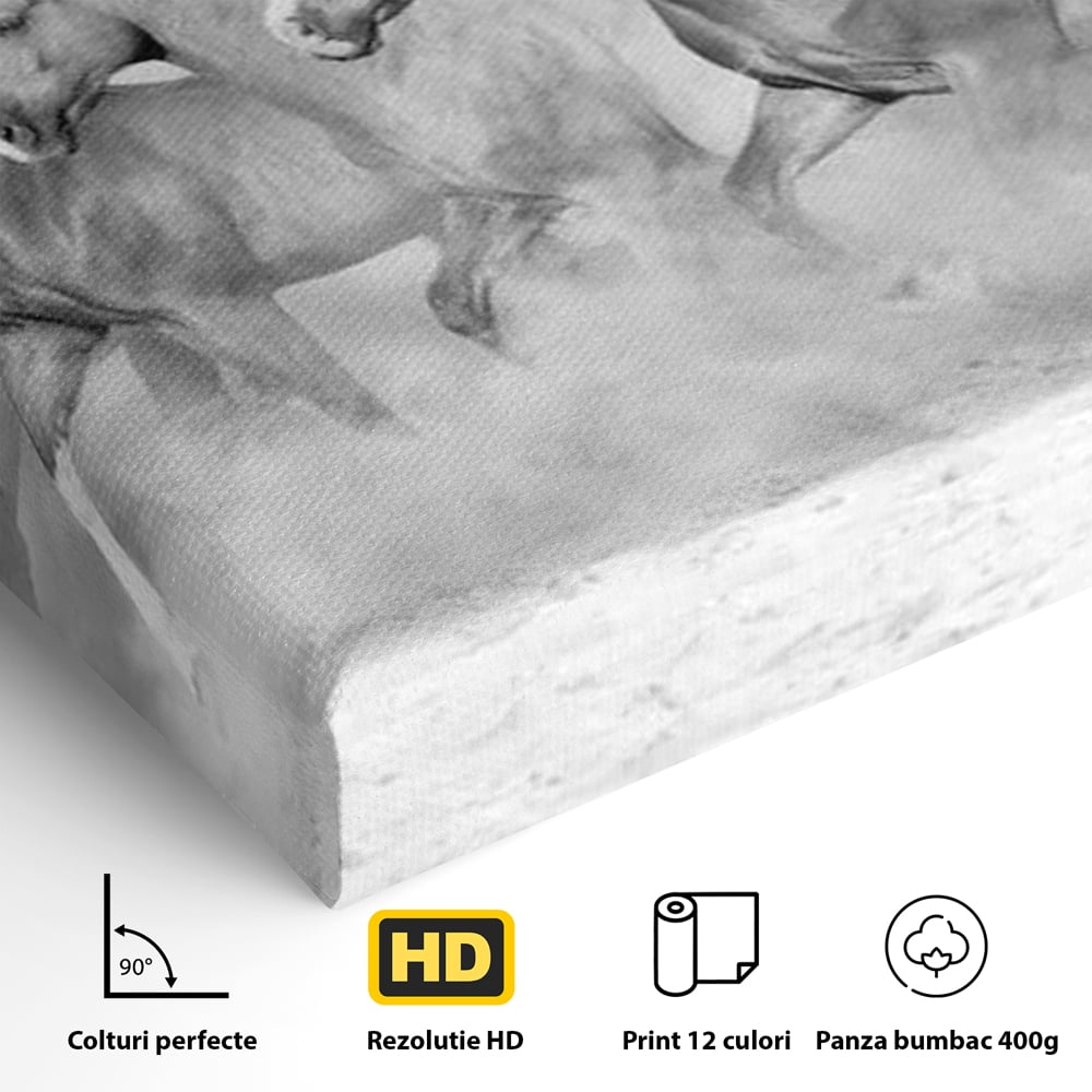 Tablou Canvas Premium, LuxCanva® M1348, Chemarea Instinctului, Alb si Negru, Libertate, Cai, Galop, Viteza, Praf, Grup, Miscare, Animal, Salbaticie, Birou, Living, Camera Copil
