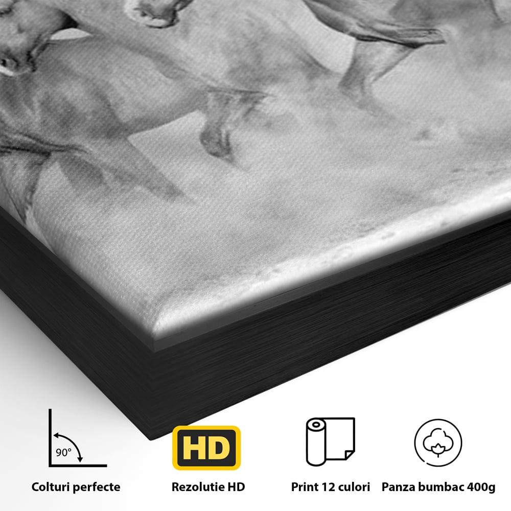 Tablou Canvas Premium, LuxCanva® M1348, Chemarea Instinctului, Alb si Negru, Libertate, Cai, Galop, Viteza, Praf, Grup, Miscare, Animal, Salbaticie, Birou, Living, Camera Copil