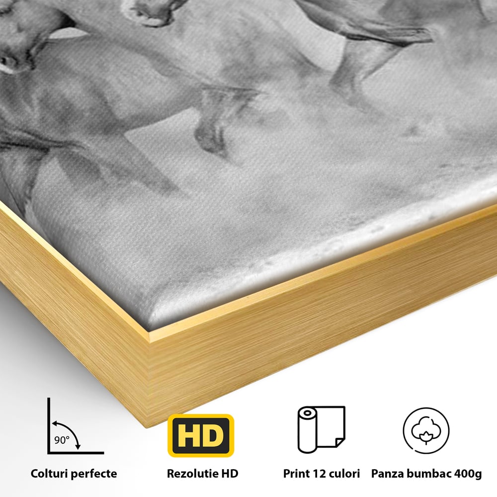 Tablou Canvas Premium, LuxCanva® M1348, Chemarea Instinctului, Alb si Negru, Libertate, Cai, Galop, Viteza, Praf, Grup, Miscare, Animal, Salbaticie, Birou, Living, Camera Copil